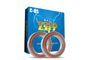 FR-198C-OS LD by Boca Bearings :: Ceramic Bearing Specialists